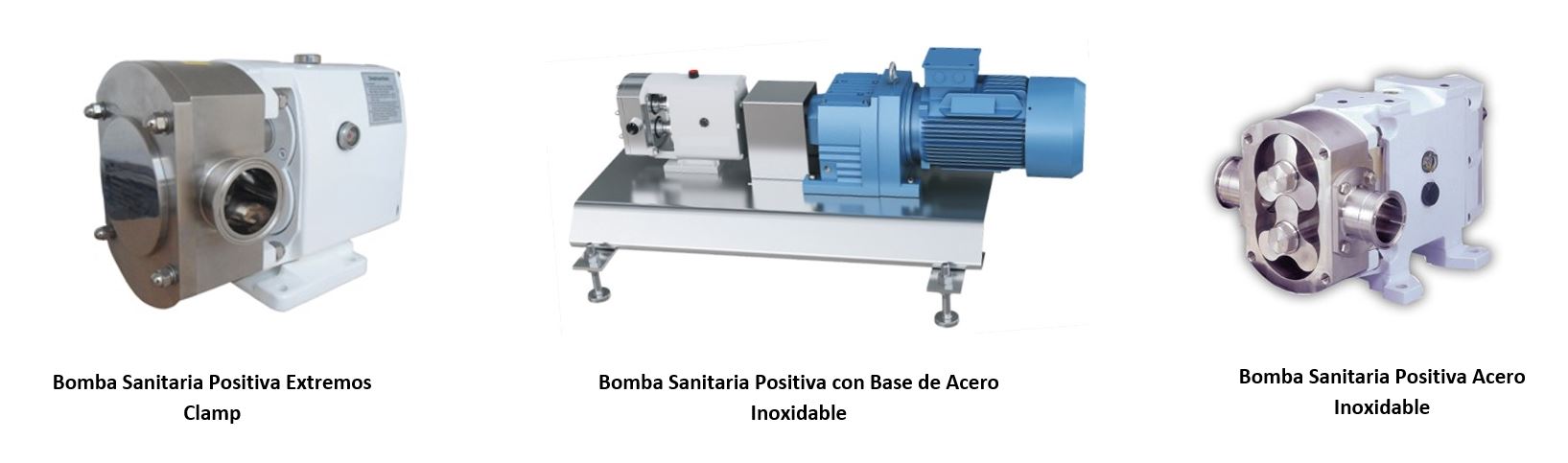 Bombas Sanitarias Positivas Acero Inoxidable en México